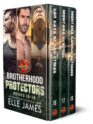 cover image of Brotherhood Protectors Boxed Set 6